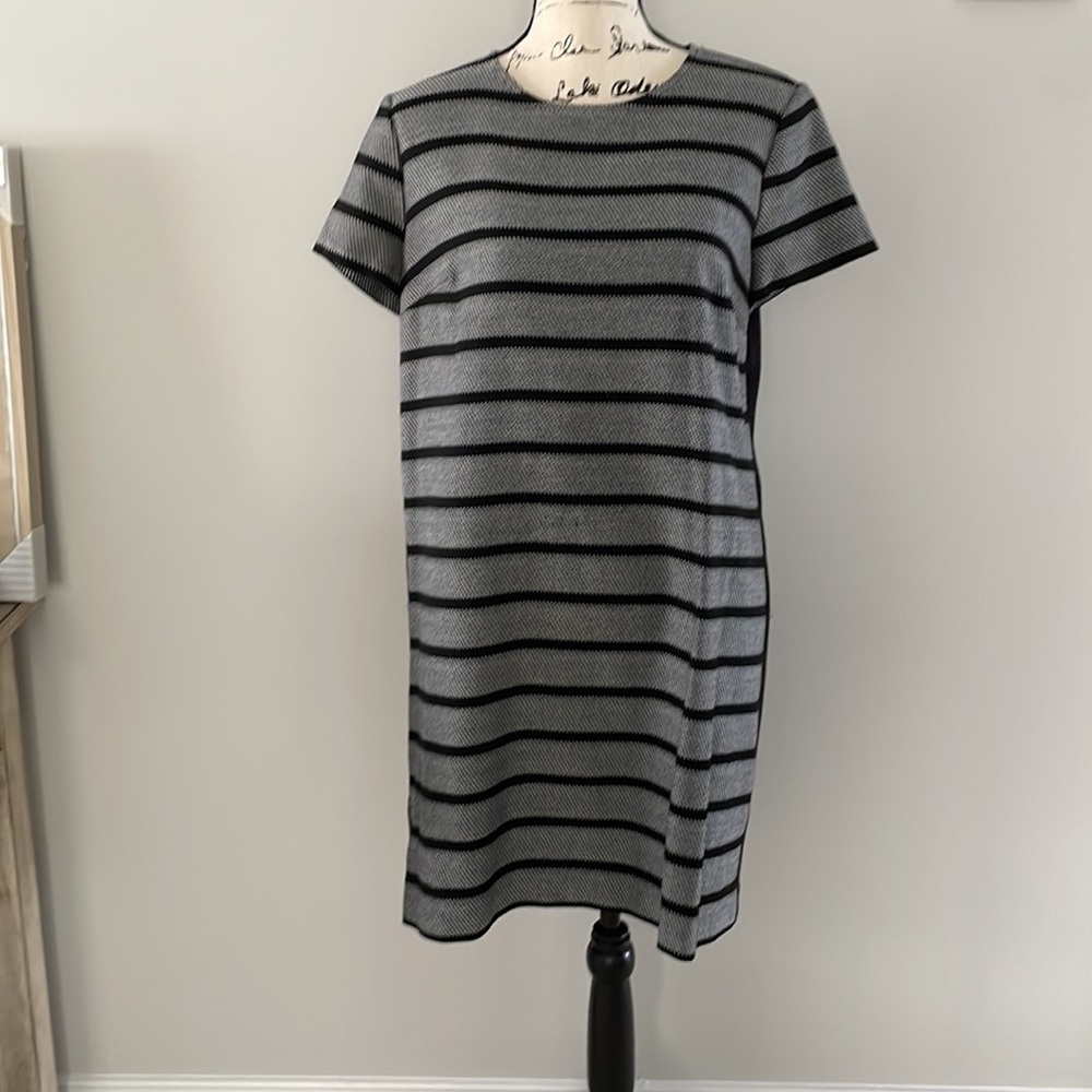 Ann Taylor black striped shift dress